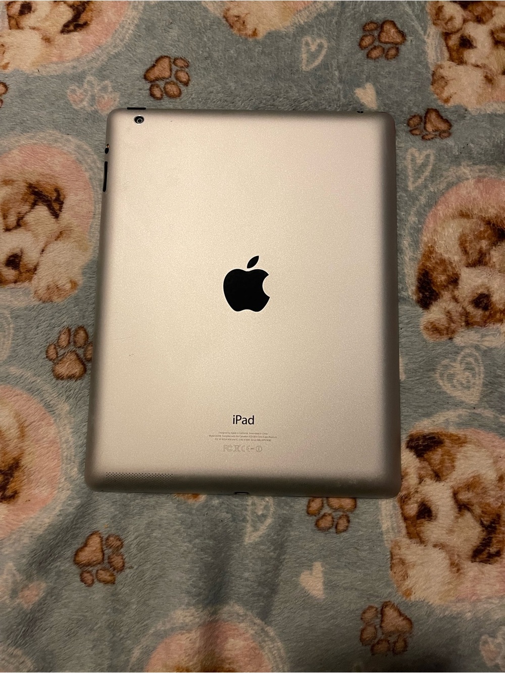 Apple iPad Silver Back - Classic Apple Tablet